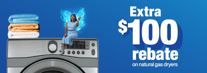 extra $100 rebate natural gas dryer